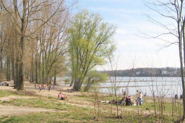 Blog Paysages Arbres panorama nature galerie photos rhin ahr allemagne ... Blog Paysages Arbres panorama nature galerie photos rhin ahr allemagne ...